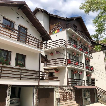 Vila Loft Cube Sinaia Ngoại thất bức ảnh