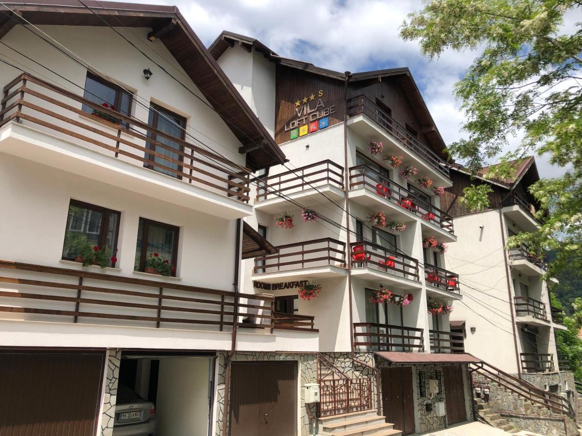 Vila Loft Cube Sinaia Ngoại thất bức ảnh